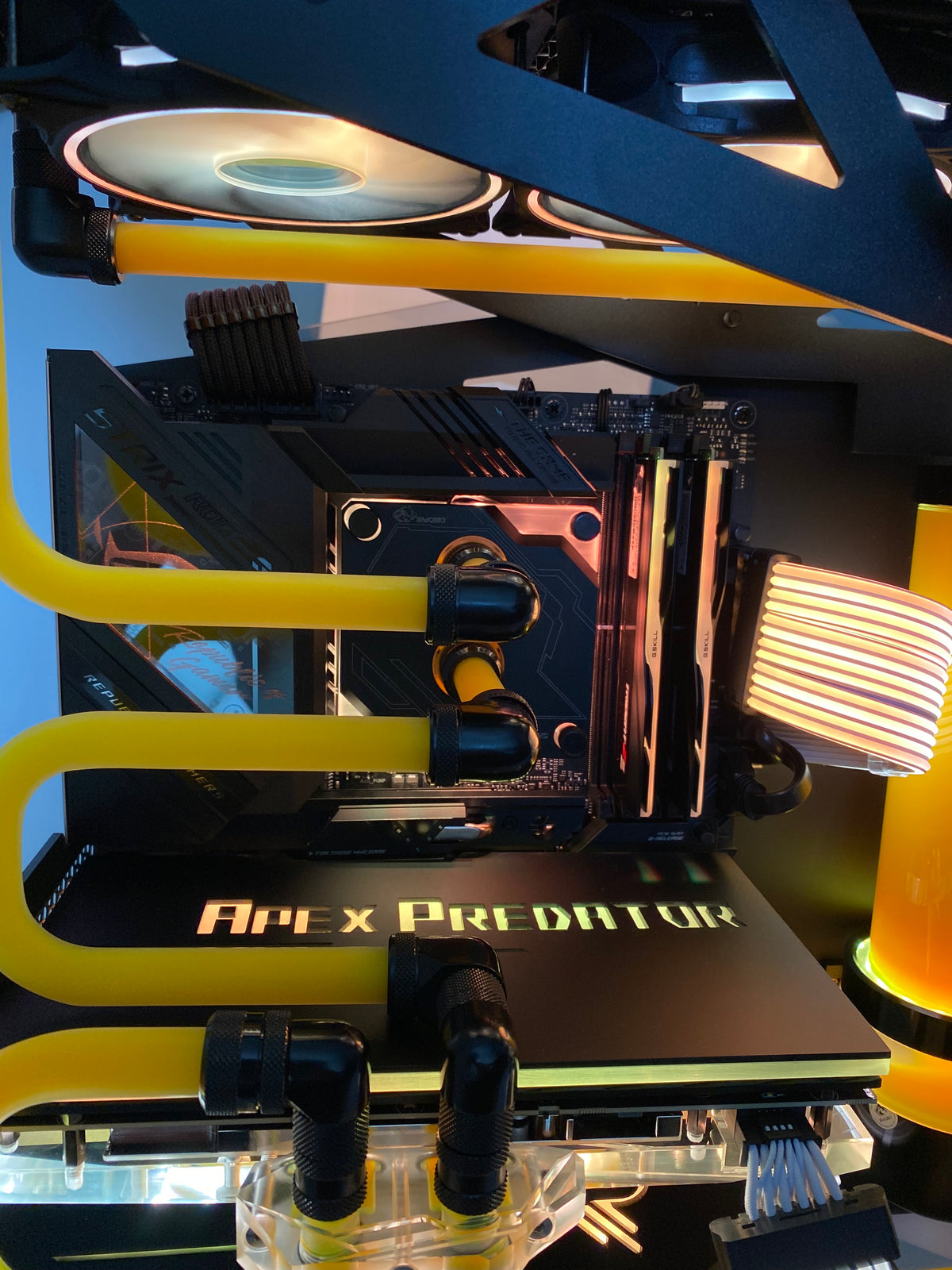Apex Predator ( RTX 5080) – RIN Computers