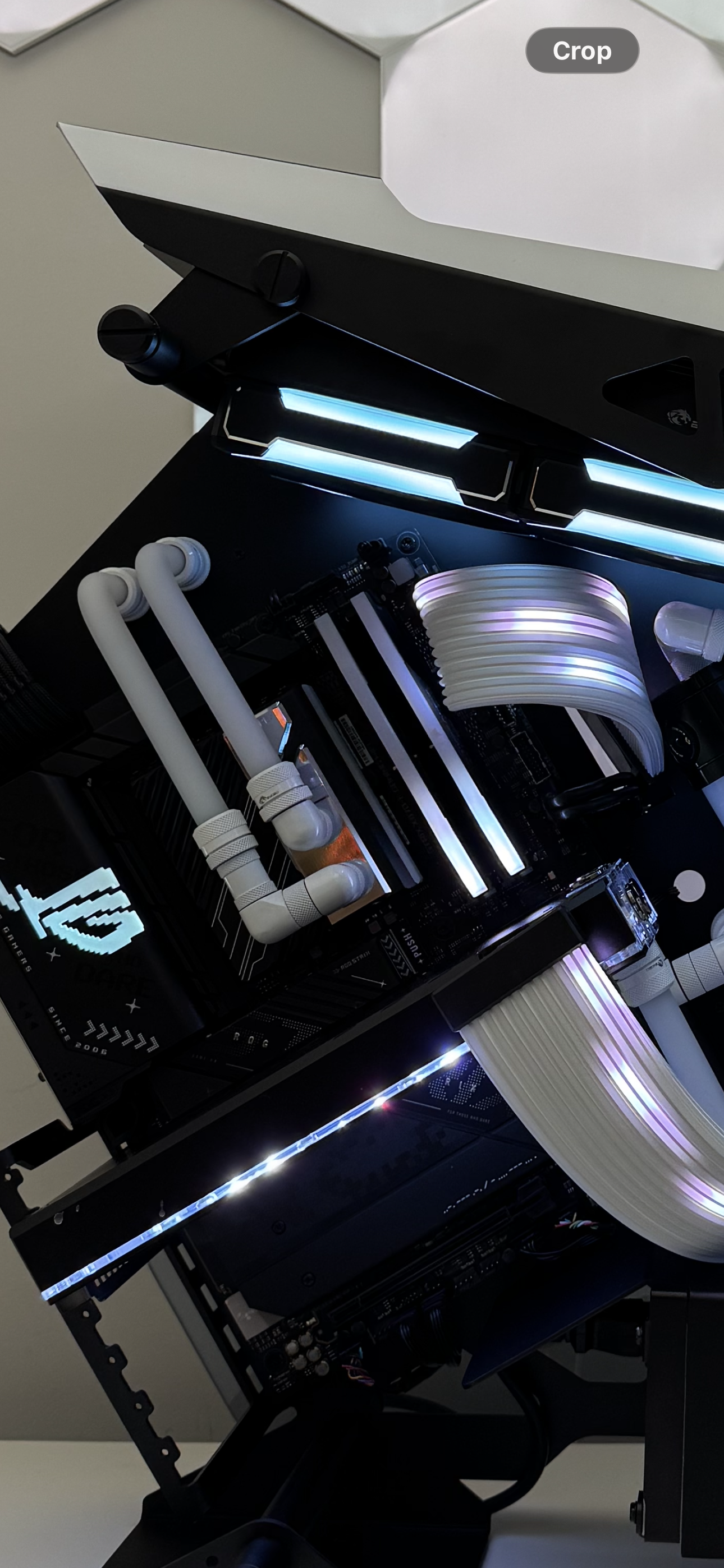 Megatronus (RTX 5090)